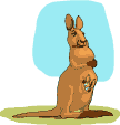 kangoeroes2