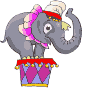 olifanten8