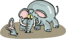 olifanten9