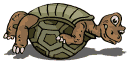 schildpadden8