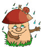 paddestoelen3