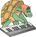 schildpadden1