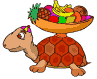 schildpadden2