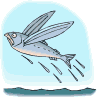 vissen7